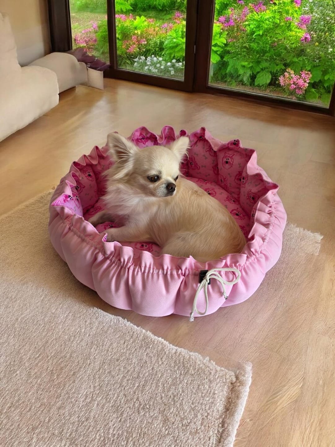 filhote de chihuahua na caminha pet
